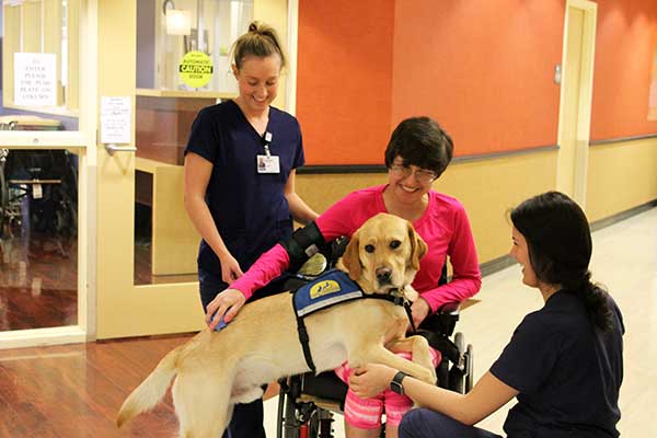 Animal Assisted Therapy Philadelphia | Facility Dog Program